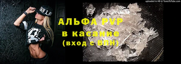крисы Нея